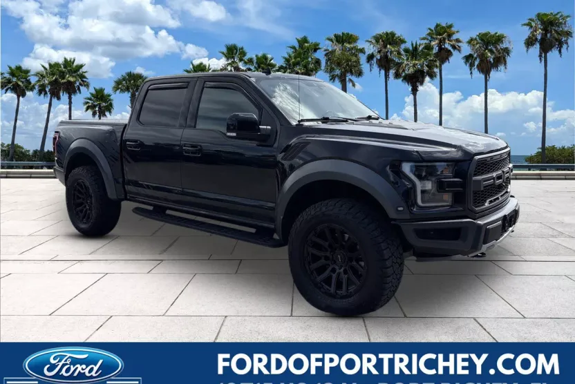 2019 Ford F-150 Raptor photo 1