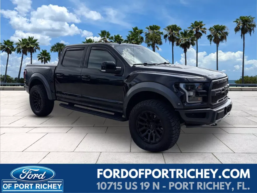 2019 Ford F-150 Raptor photo 1