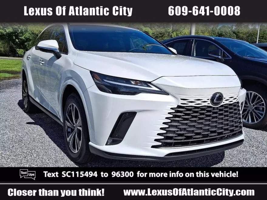 2025 Lexus RX 350 photo 1