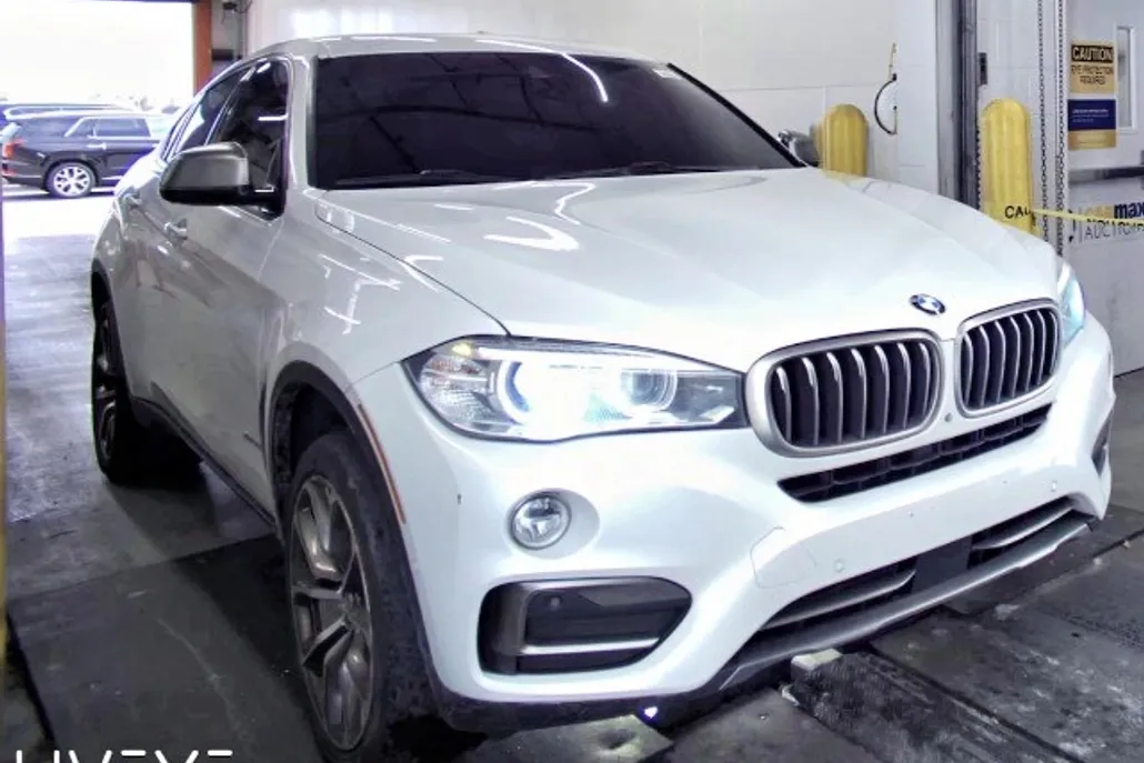2018 Bmw X6 xDrive35i photo 1