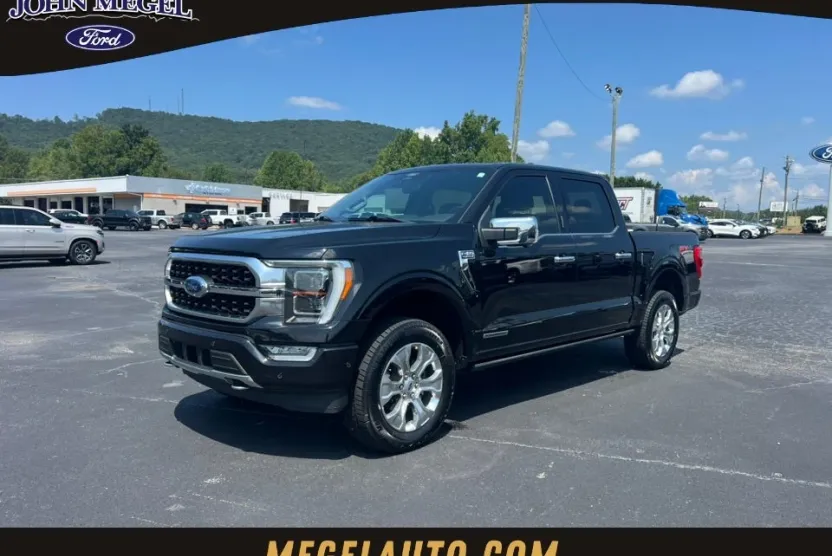 2021 Ford F-150 Platinum photo 1