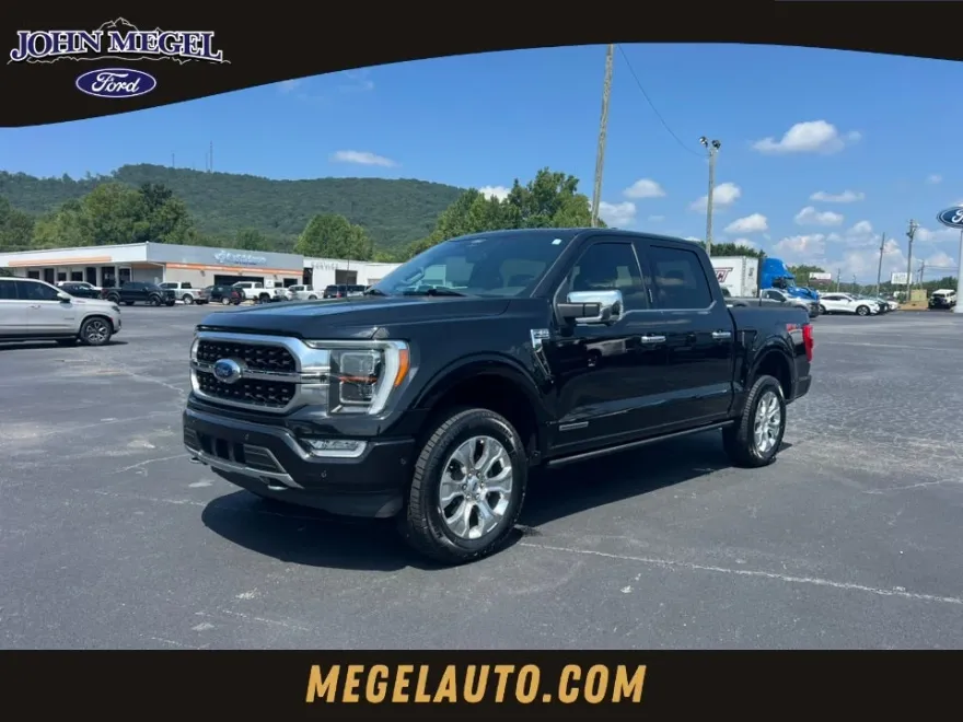 2021 Ford F-150 Platinum photo 1