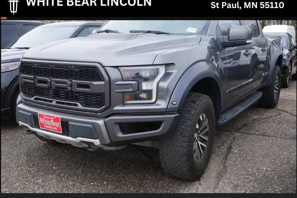 2019 Ford F-150 Raptor photo 1