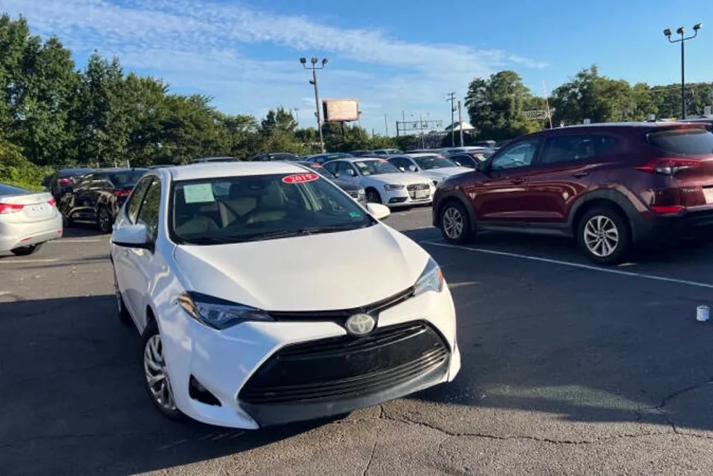 2019 Toyota Corolla LE photo 1