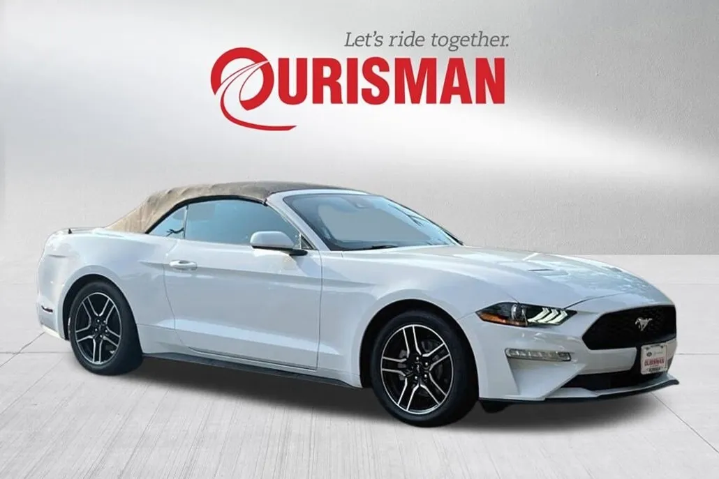 2023 Ford Mustang EcoBoost Premium Convertible photo 1
