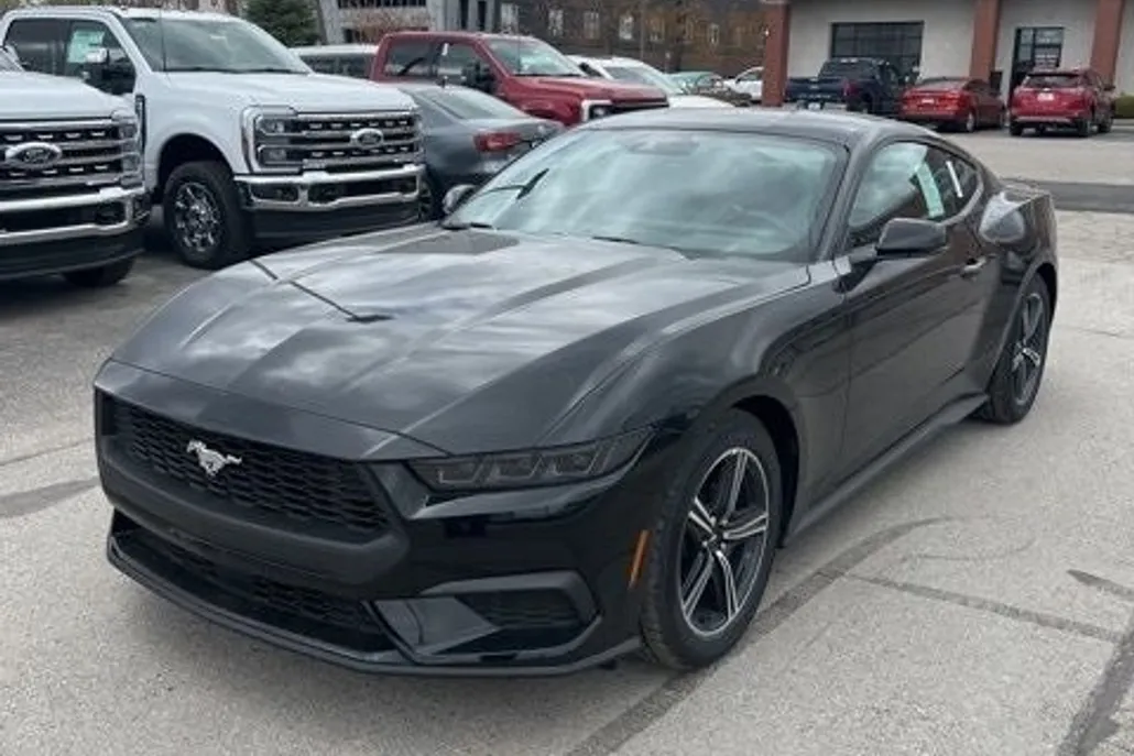 2025 Ford Mustang EcoBoost Premium photo 1