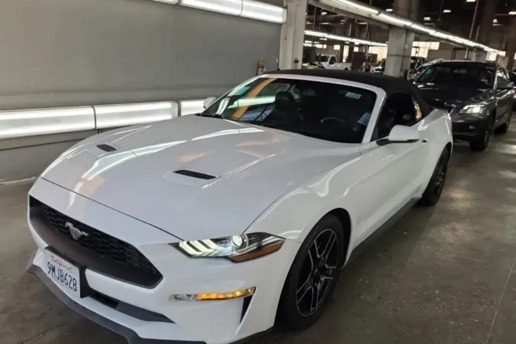2019 Ford Mustang EcoBoost Premium Convertible photo 1