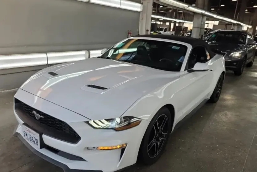 2019 Ford Mustang EcoBoost Premium Convertible photo 1