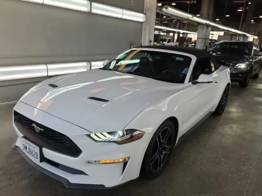 2019 Ford Mustang EcoBoost Premium Convertible photo 1