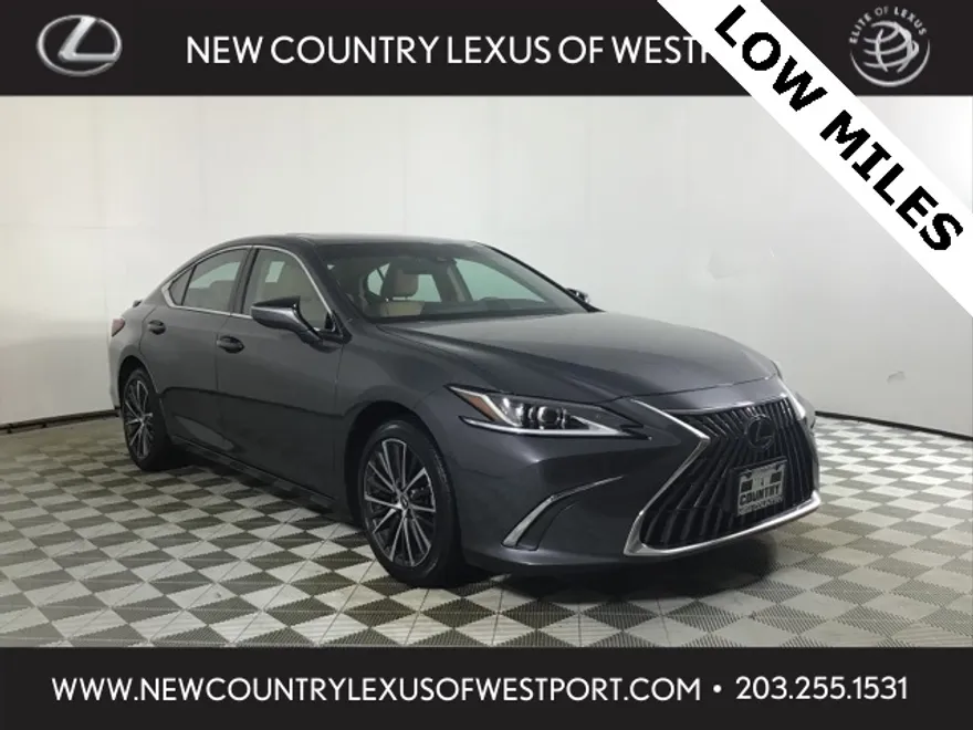 2023 Lexus ES 250 photo 1