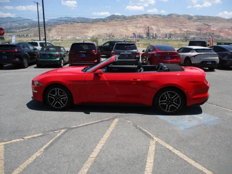 2023 Ford Mustang EcoBoost Premium photo 1