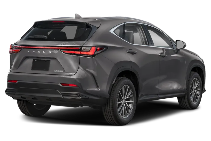 2024 Lexus NX 250 photo 1