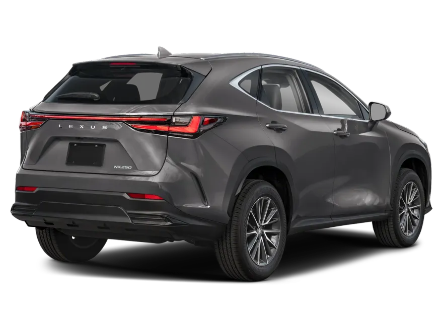 2024 Lexus NX 250 photo 1
