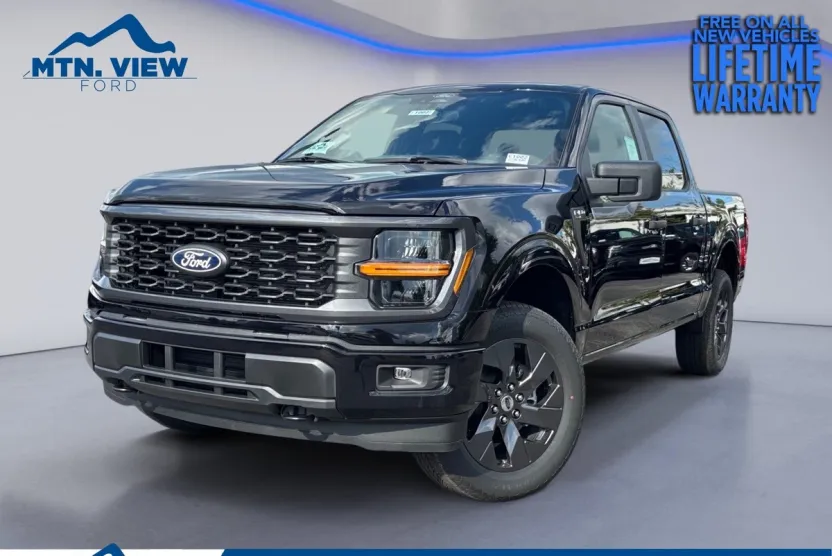 2025 Ford F-150 STX photo 1
