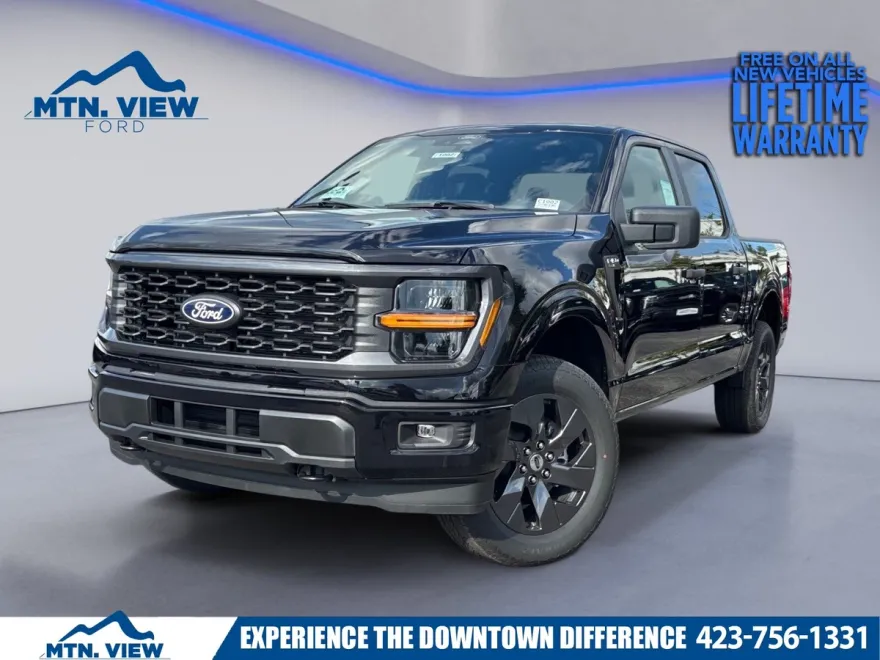 2025 Ford F-150 STX photo 1
