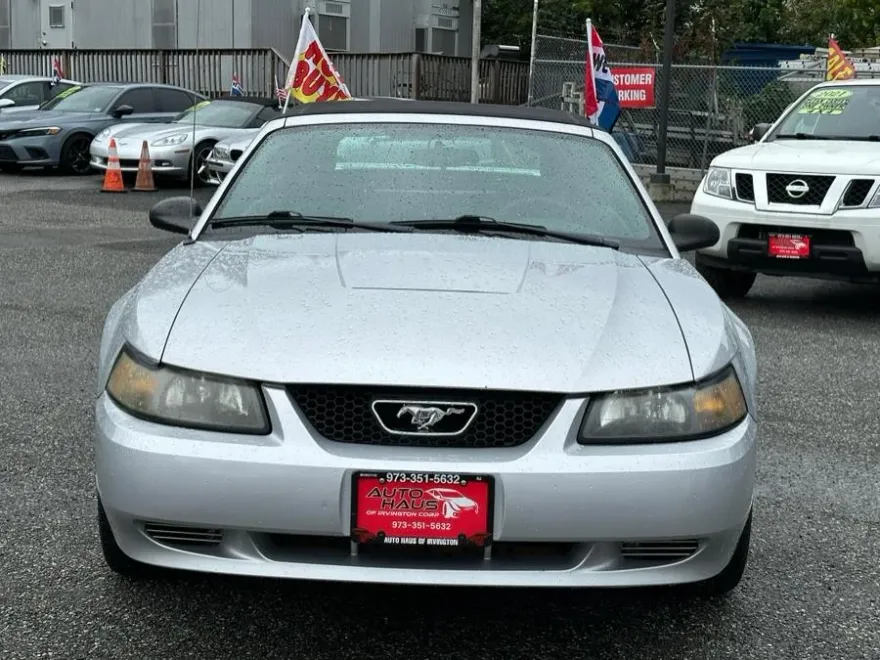 2003 Ford Mustang Premium photo 1
