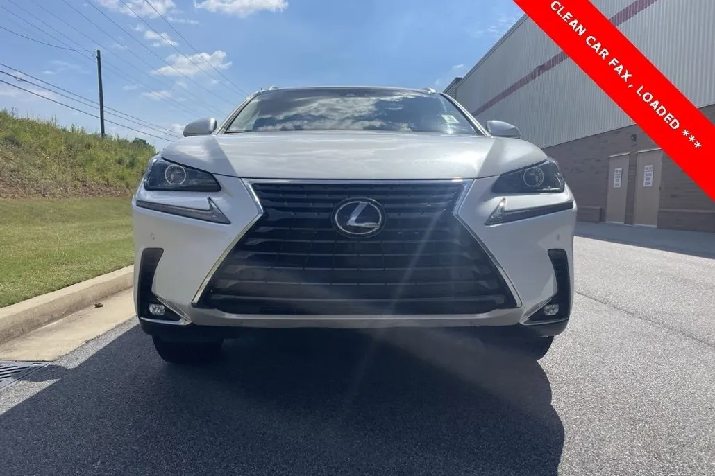 2018 Lexus NX 300h Luxury photo 1