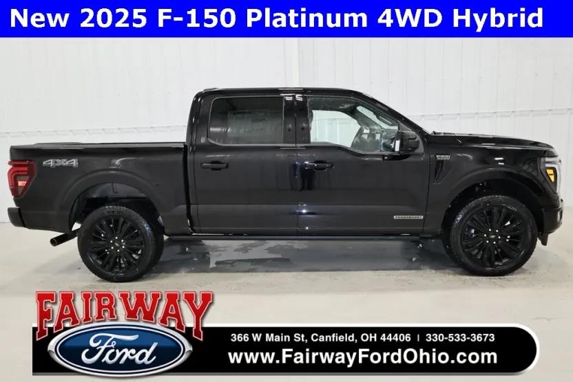 2025 Ford F-150 Platinum photo 1