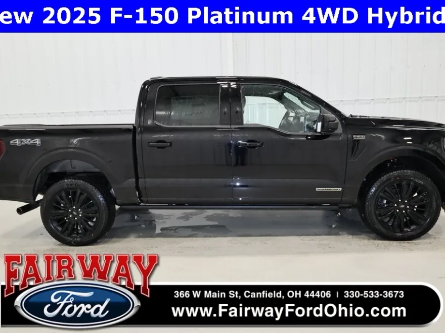 2025 Ford F-150 Platinum photo 1