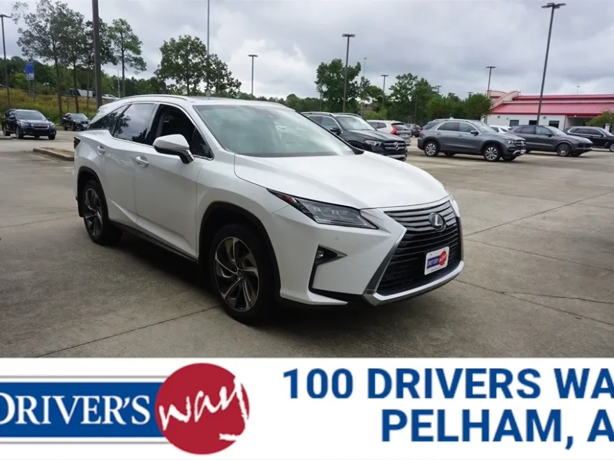 2019 Lexus RX Luxury photo 1