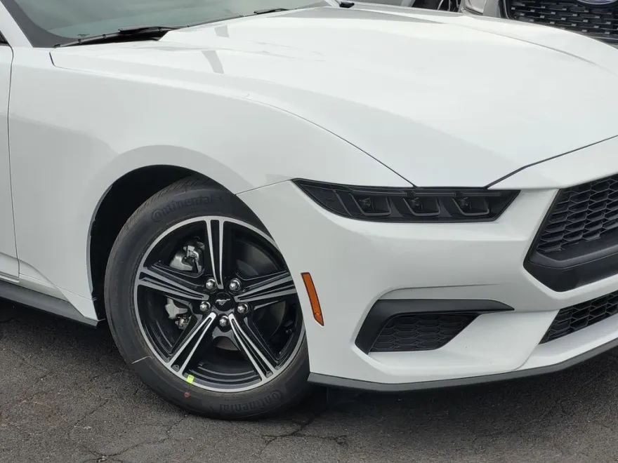 2025 Ford Mustang EcoBoost photo 1