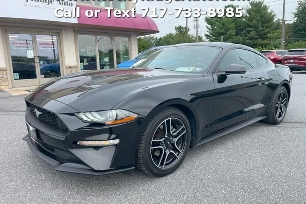 2019 Ford Mustang EcoBoost photo 1