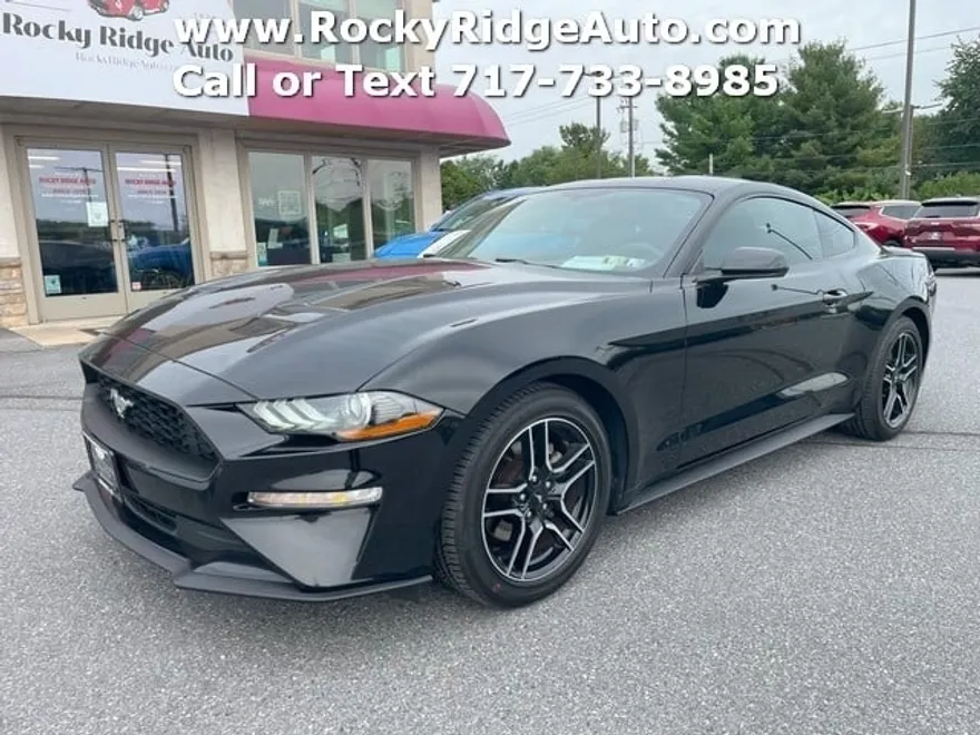 2019 Ford Mustang EcoBoost photo 1