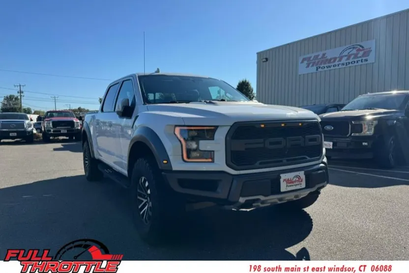2019 Ford F-150 Raptor photo 1