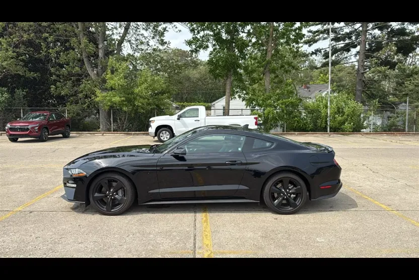 2023 Ford Mustang GT photo 1