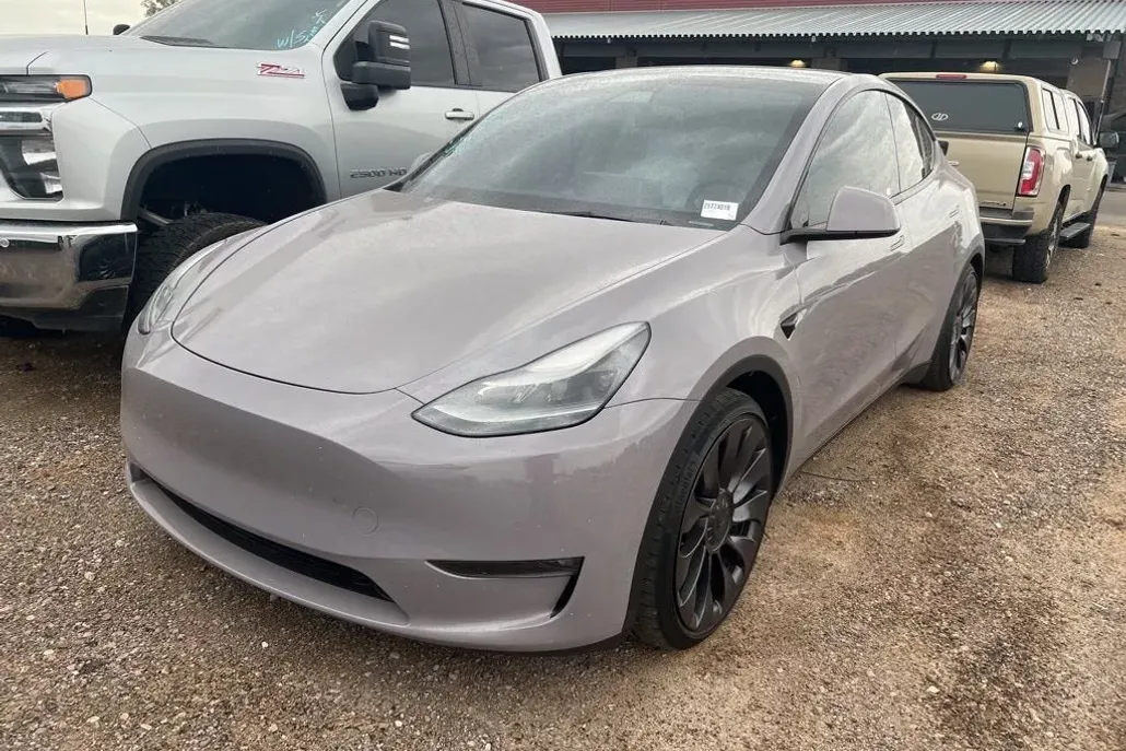 2021 Tesla Model Y Performance photo 1