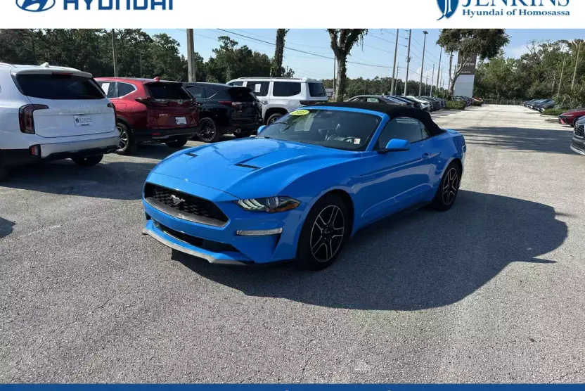 2023 Ford Mustang EcoBoost Premium Convertible photo 1