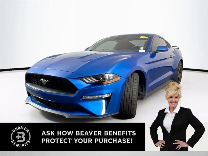2021 Ford Mustang EcoBoost Premium photo 1