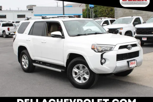 2019 Toyota 4Runner SR5 photo 1