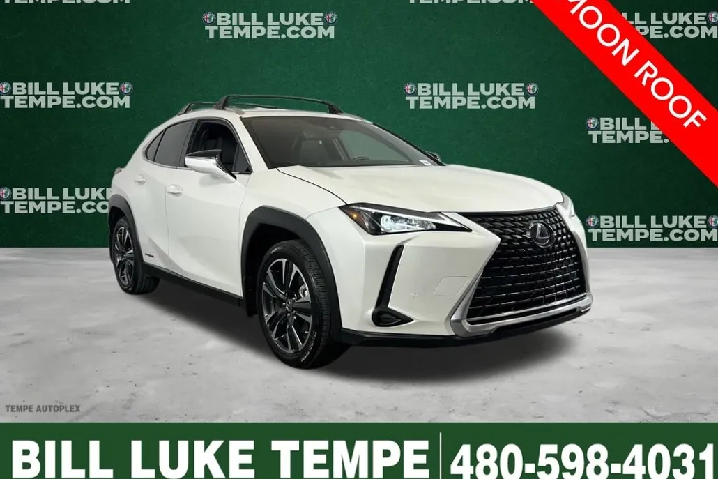 2021 Lexus UX 250h photo 1