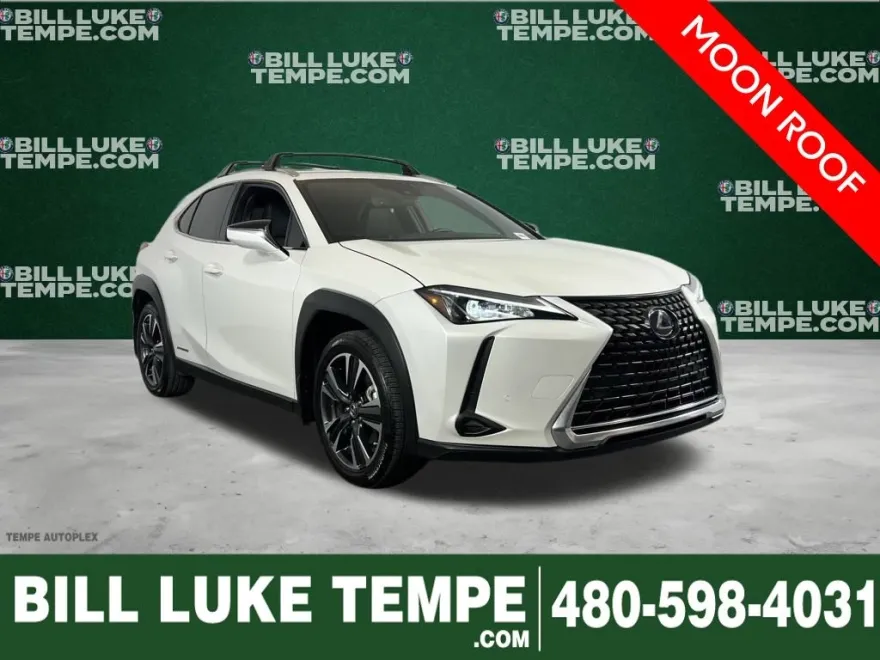 2021 Lexus UX 250h photo 1