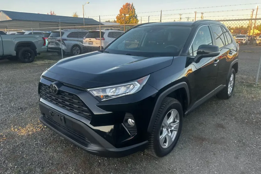 2019 Toyota RAV4 XLE photo 1