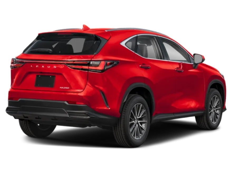 2025 Lexus NX 250 photo 1