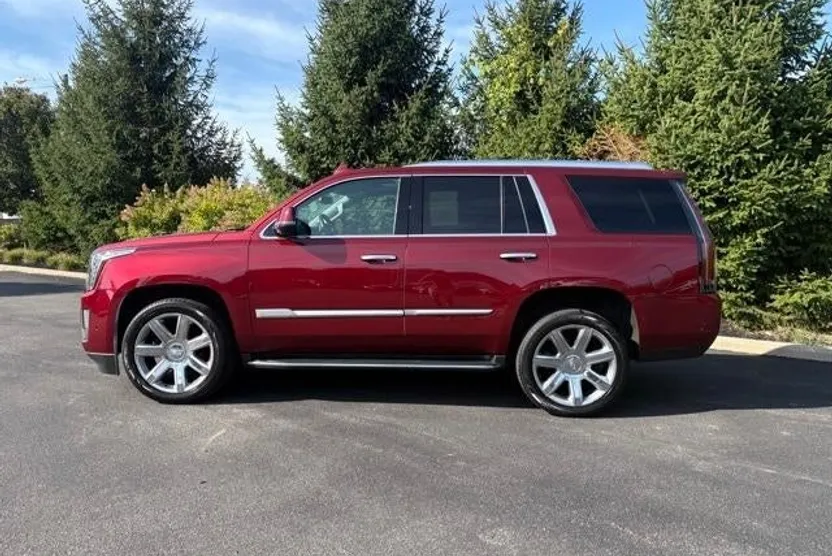 2020 Cadillac Escalade Luxury photo 1