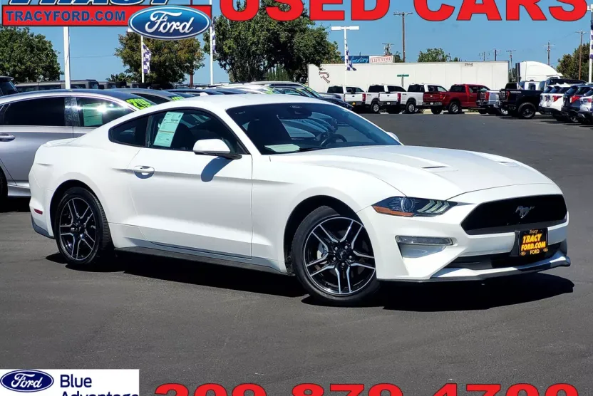 2023 Ford Mustang EcoBoost Premium photo 1