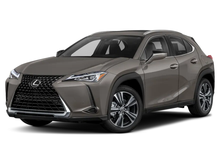 2019 Lexus UX 200 photo 1