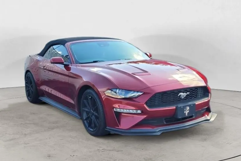 2019 Ford Mustang EcoBoost Premium Convertible photo 1