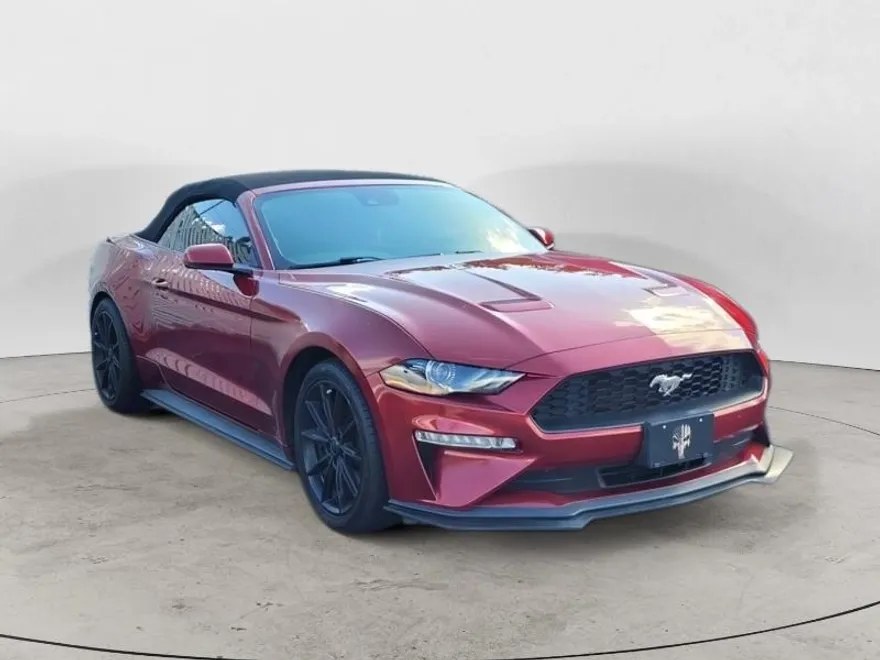 2019 Ford Mustang EcoBoost Premium Convertible photo 1