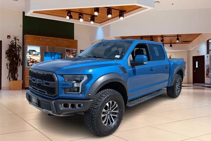2019 Ford F-150 Raptor photo 1