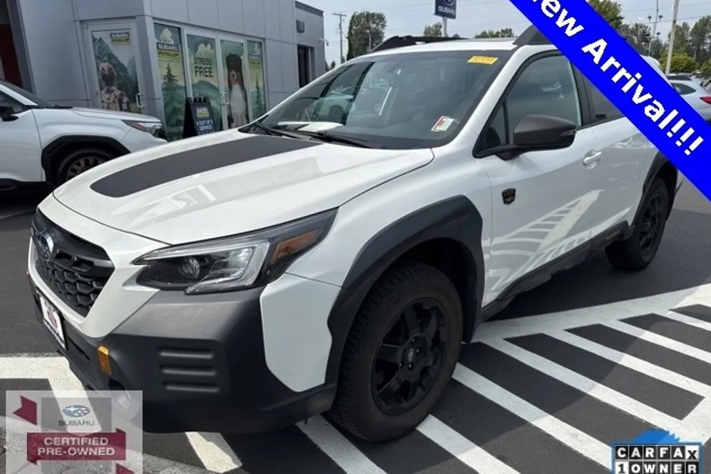 2022 Subaru Outback Wilderness photo 1