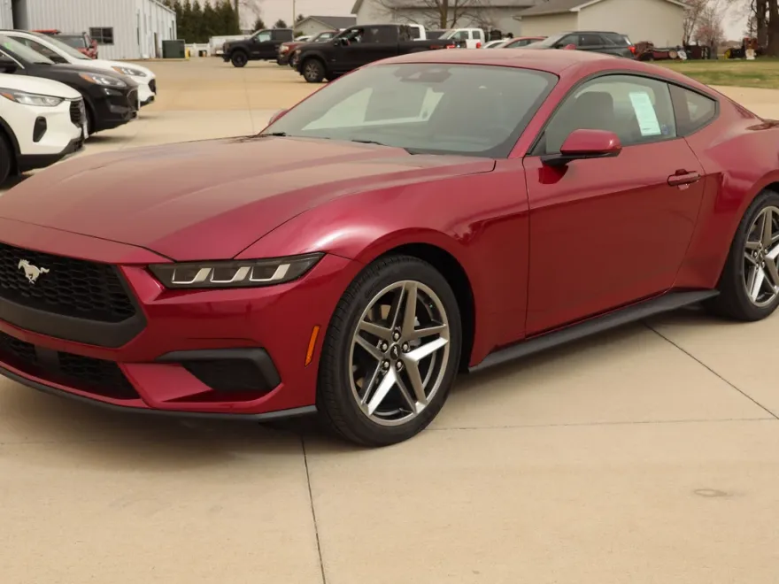 2025 Ford Mustang Premium photo 1
