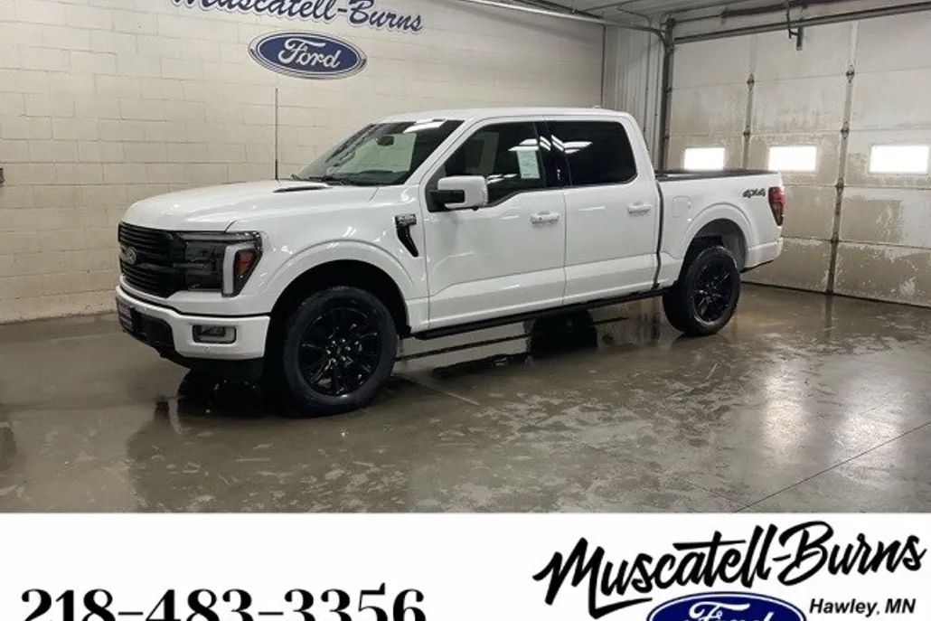 2025 Ford F-150 Platinum photo 1