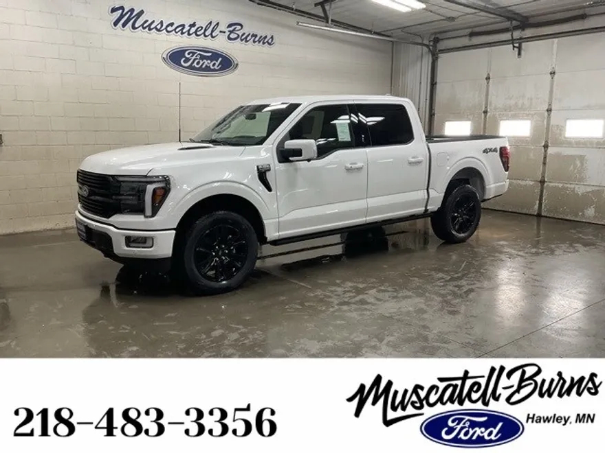 2025 Ford F-150 Platinum photo 1