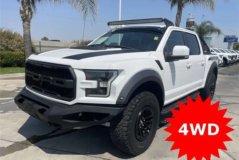 2019 Ford F-150 Raptor photo 1