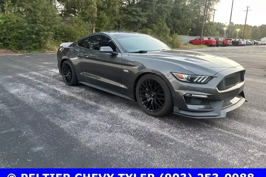 2015 Ford Mustang GT Premium photo 1