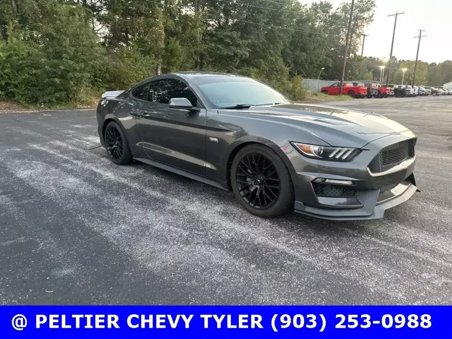 2015 Ford Mustang GT Premium photo 1
